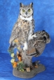 Owl- Great Horned 22