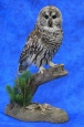 Owl- Barred 04