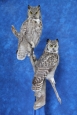 Owl- Great Horned 25