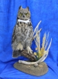 Owl- Great Horned 70