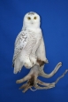 Owl- Snowy 08