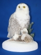 Owl- Snowy 09