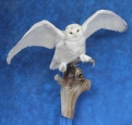 Owl- Snowy 18