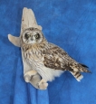 Owl- Short Eared 03