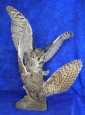 Owl- Great Horned 39