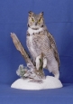 Owl- Great Horned 05