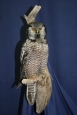 Owl- Hawk 02